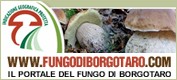 Il portale del Fungo IGP di Borgotaro